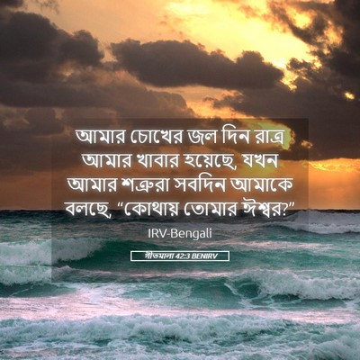 Picture 05 - গীতমালা 42:3 BENIRV - আমার চোখের জল দিন - Bible Verse Picture