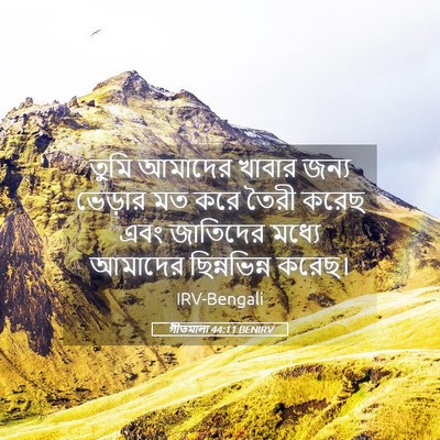 Picture 05 - গীতমালা 44:11 BENIRV - তুমি আমাদের খাবার - Bible Verse Picture