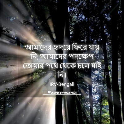 Picture 05 - গীতমালা 44:18 BENIRV - আমাদের হৃদয়ে - Bible Verse Picture