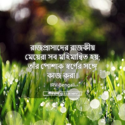 Picture 05 - গীতমালা 45:13 BENIRV - রাজপ্রাসাদের - Bible Verse Picture
