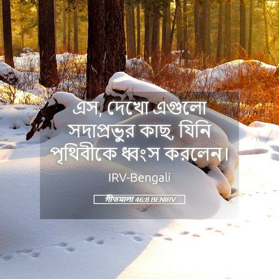 Picture 05 - গীতমালা 46:8 BENIRV - এস, দেখো এগুলো - Bible Verse Picture