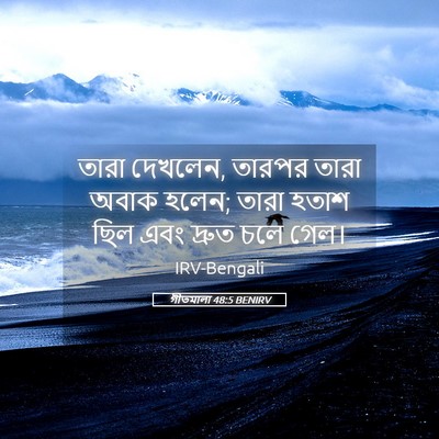 Picture 05 - গীতমালা 48:5 BENIRV - তারা দেখলেন, তারপর - Bible Verse Picture