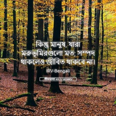 Picture 05 - গীতমালা 49:12 BENIRV - কিন্তু মানুষ, যারা - Bible Verse Picture