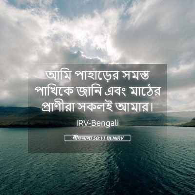 Picture 05 - গীতমালা 50:11 BENIRV - আমি পাহাড়ের - Bible Verse Picture