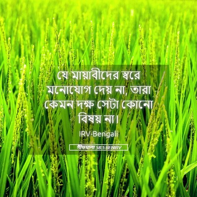 Picture 05 - গীতমালা 58:5 BENIRV - যে মায়াবীদের - Bible Verse Picture