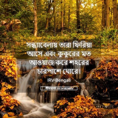 Picture 05 - গীতমালা 59:14 BENIRV - সন্ধ্যাবেলায় - Bible Verse Picture