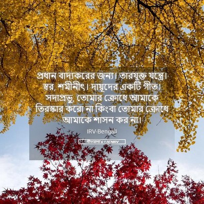 Picture 05 - গীতমালা 6:1 BENIRV - প্রধান বাদ্যকরের - Bible Verse Picture