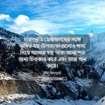 Picture 05 - গীতমালা 65:13 BENIRV - চারণভূমি - Bible Verse Picture