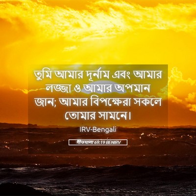 Picture 05 - গীতমালা 69:19 BENIRV - তুমি আমার দূর্নাম - Bible Verse Picture