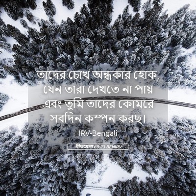 Picture 05 - গীতমালা 69:23 BENIRV - তাদের চোখ অন্ধকার - Bible Verse Picture