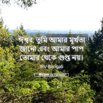 Picture 05 - গীতমালা 69:5 BENIRV - ঈশ্বর, তুমি আমার - Bible Verse Picture