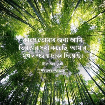 Picture 05 - গীতমালা 69:7 BENIRV - কারণ তোমার জন্য - Bible Verse Picture