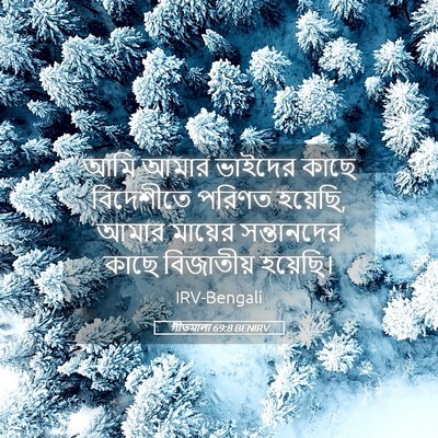 Picture 05 - গীতমালা 69:8 BENIRV - আমি আমার ভাইদের - Bible Verse Picture