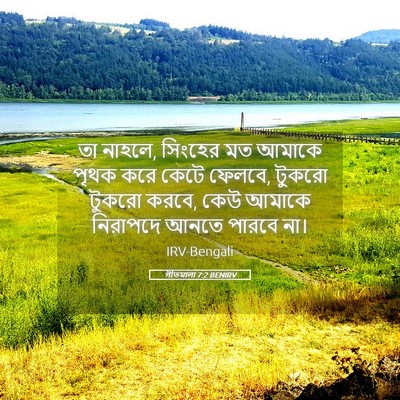 Picture 05 - গীতমালা 7:2 BENIRV - তা নাহলে, সিংহের মত - Bible Verse Picture