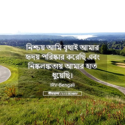 Picture 05 - গীতমালা 73:13 BENIRV - নিশ্চয় আমি বৃথাই - Bible Verse Picture