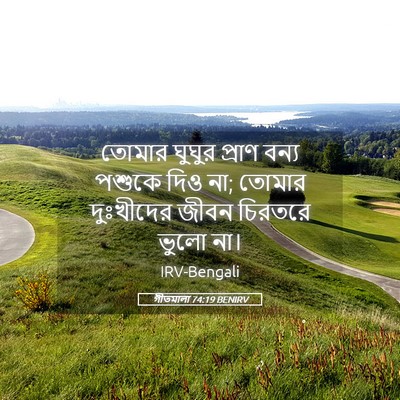 Picture 05 - গীতমালা 74:19 BENIRV - তোমার ঘুঘুর প্রাণ - Bible Verse Picture