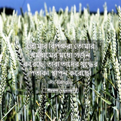 Picture 05 - গীতমালা 74:4 BENIRV - তোমার বিপক্ষরা - Bible Verse Picture