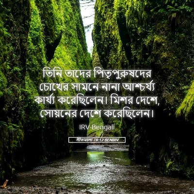 Picture 05 - গীতমালা 78:12 BENIRV - তিনি তাদের - Bible Verse Picture