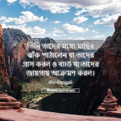 Picture 05 - গীতমালা 78:45 BENIRV - তিনি তাদের মধ্যে - Bible Verse Picture