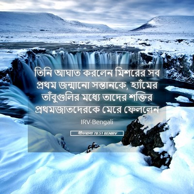 Picture 05 - গীতমালা 78:51 BENIRV - তিনি আঘাত করলেন - Bible Verse Picture