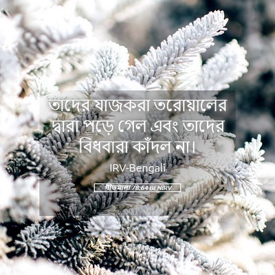 Picture 05 - গীতমালা 78:64 BENIRV - তাদের যাজকরা - Bible Verse Picture