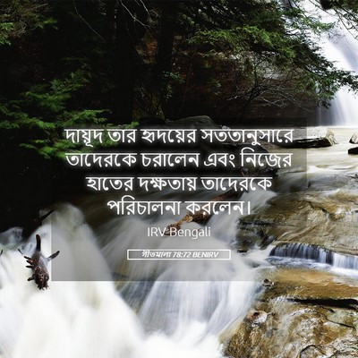 Picture 05 - গীতমালা 78:72 BENIRV - দায়ূদ তার - Bible Verse Picture