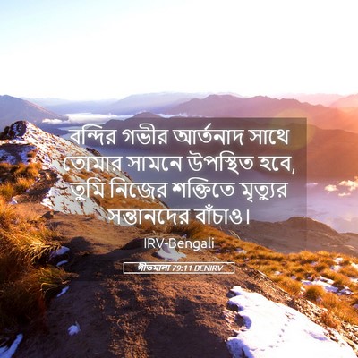Picture 05 - গীতমালা 79:11 BENIRV - বন্দির গভীর - Bible Verse Picture