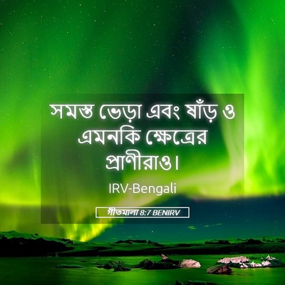 Picture 05 - গীতমালা 8:7 BENIRV - সমস্ত ভেড়া এবং - Bible Verse Picture