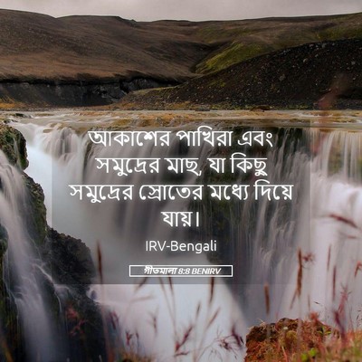 Picture 05 - গীতমালা 8:8 BENIRV - আকাশের পাখিরা এবং - Bible Verse Picture