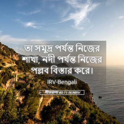 Picture 05 - গীতমালা 80:11 BENIRV - তা সমুদ্র পর্যন্ত - Bible Verse Picture