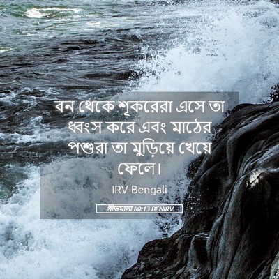 Picture 05 - গীতমালা 80:13 BENIRV - বন থেকে শূকরেরা - Bible Verse Picture