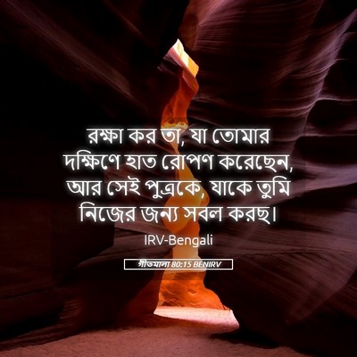 Picture 05 - গীতমালা 80:15 BENIRV - রক্ষা কর তা, যা - Bible Verse Picture