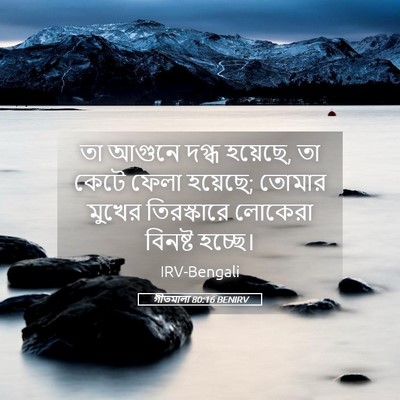 Picture 05 - গীতমালা 80:16 BENIRV - তা আগুনে দগ্ধ - Bible Verse Picture