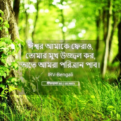 Picture 05 - গীতমালা 80:3 BENIRV - ঈশ্বর আমাকে ফেরাও, - Bible Verse Picture