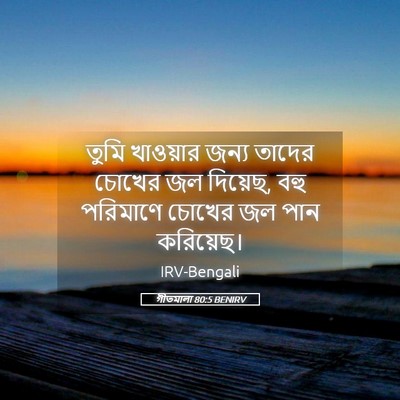 Picture 05 - গীতমালা 80:5 BENIRV - তুমি খাওয়ার জন্য - Bible Verse Picture