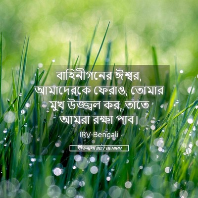 Picture 05 - গীতমালা 80:7 BENIRV - বাহিনীগনের ঈশ্বর, - Bible Verse Picture