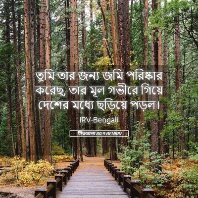 Picture 05 - গীতমালা 80:9 BENIRV - তুমি তার জন্য জমি - Bible Verse Picture
