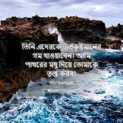 Picture 05 - গীতমালা 81:16 BENIRV - তিনি এদেরকে - Bible Verse Picture