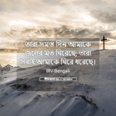 Picture 05 - গীতমালা 88:17 BENIRV - তারা সমস্ত দিন - Bible Verse Picture