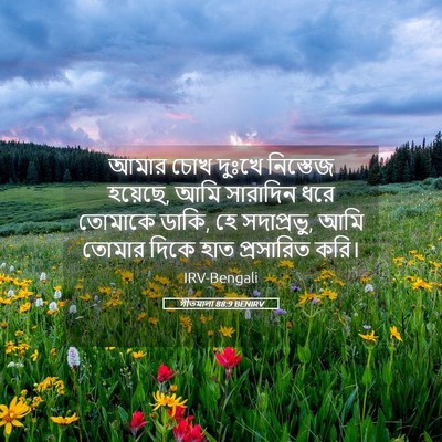Picture 05 - গীতমালা 88:9 BENIRV - আমার চোখ দুঃখে - Bible Verse Picture