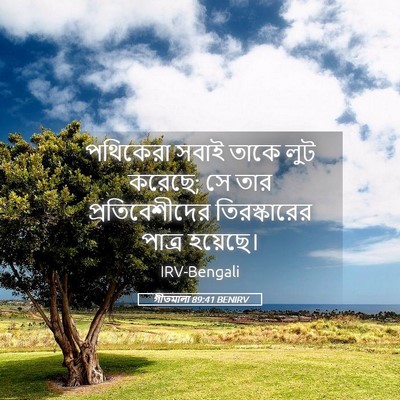 Picture 05 - গীতমালা 89:41 BENIRV - পথিকেরা সবাই তাকে - Bible Verse Picture