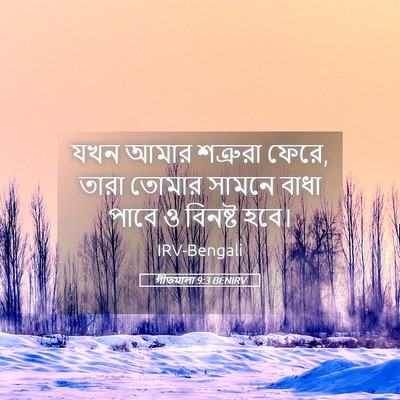 Picture 05 - গীতমালা 9:3 BENIRV - যখন আমার শত্রুরা - Bible Verse Picture