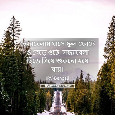 Picture 05 - গীতমালা 90:6 BENIRV - ভোরবেলায় ঘাসে - Bible Verse Picture