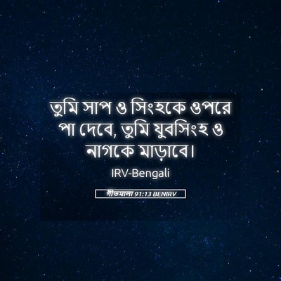 Picture 05 - গীতমালা 91:13 BENIRV - তুমি সাপ ও সিংহকে - Bible Verse Picture