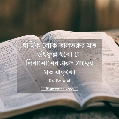 Picture 05 - গীতমালা 92:12 BENIRV - ধার্মিক লোক - Bible Verse Picture