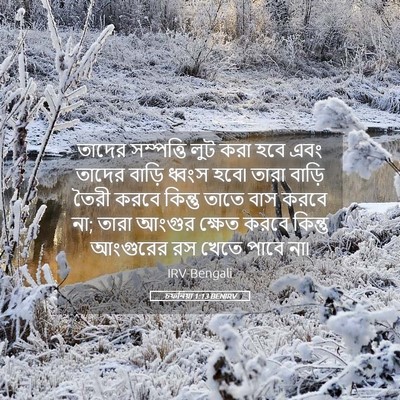 Picture 05 - চফনিয়া 1:13 BENIRV - তাদের সম্পত্তি - Bible Verse Picture