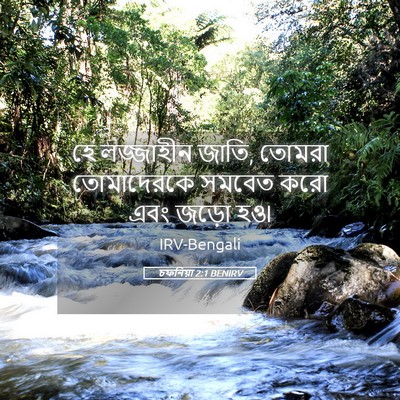 Picture 05 - চফনিয়া 2:1 BENIRV - হে লজ্জাহীন জাতি, - Bible Verse Picture