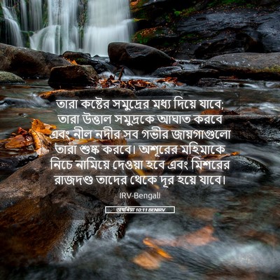 Picture 05 - জখৰিয়া 10:11 BENIRV - তারা কষ্টের - Bible Verse Picture
