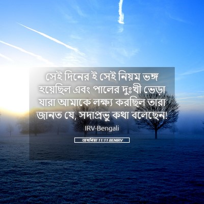 Picture 05 - জখৰিয়া 11:11 BENIRV - সেই দিনের ই সেই - Bible Verse Picture