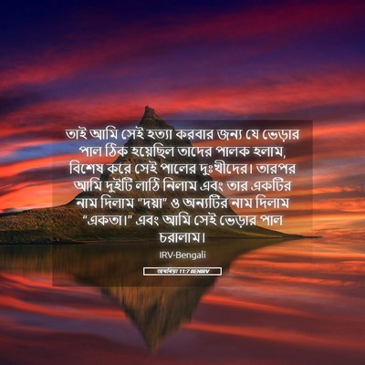 Picture 05 - জখৰিয়া 11:7 BENIRV - তাই আমি সেই হত্যা - Bible Verse Picture